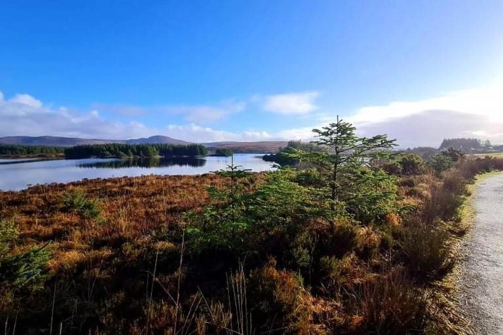 Atlantic View Apartment Dungloe Dış mekan fotoğraf