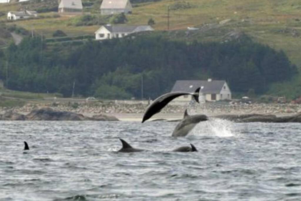 Atlantic View Apartment Dungloe Dış mekan fotoğraf